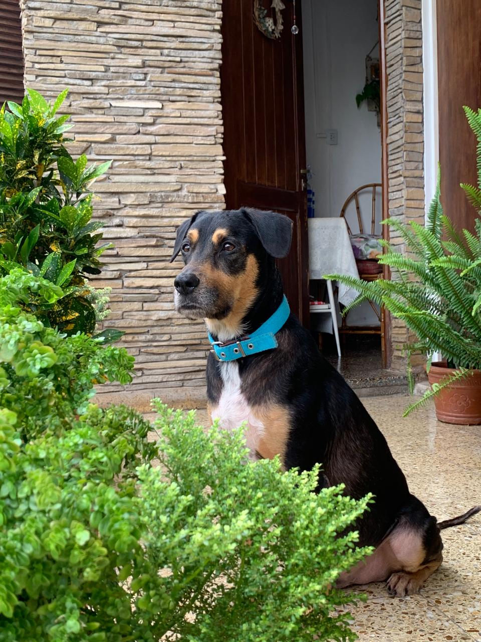 Imagen de publicación